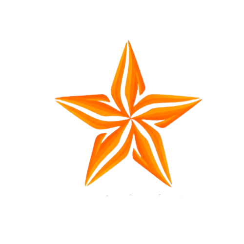 Star Technology Logo